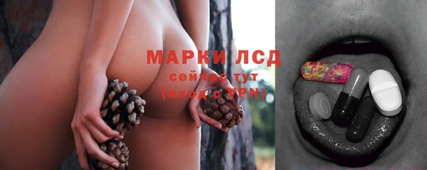 спайс Рославль